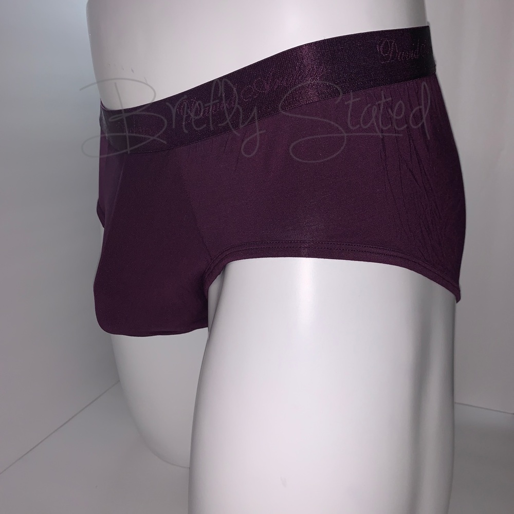David Archy Micro Modal Briefs - Wine (L)
